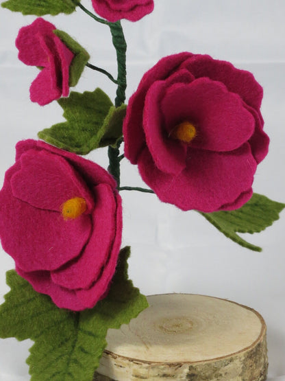 Stockrose Waldorf-Blumenkind für den Hintergrund des Sommer-Jahreszeitentisches