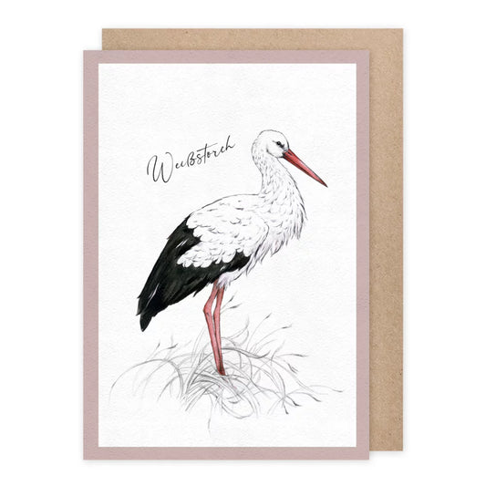 Weißstorch - Doppelkarte mit Umschlag - Art.Nr.PKGR88