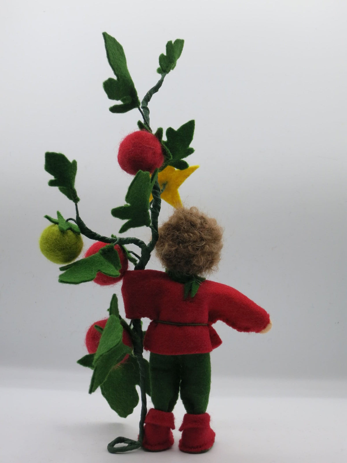 Rückansicht Tomaten-Junge mit gelber Sternblüte am Zweig, Waldorf-Jahreszeitentisch Sommer