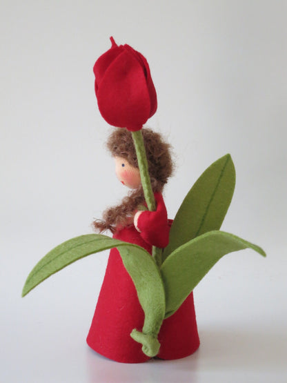 Rotes Tulpen-Blumenkind im Profil mit großer roter Blüte und grünen Filzblättern