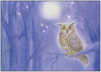 Der Uhu bei Vollmond - Postkarte - Art.Nr.PKHE217