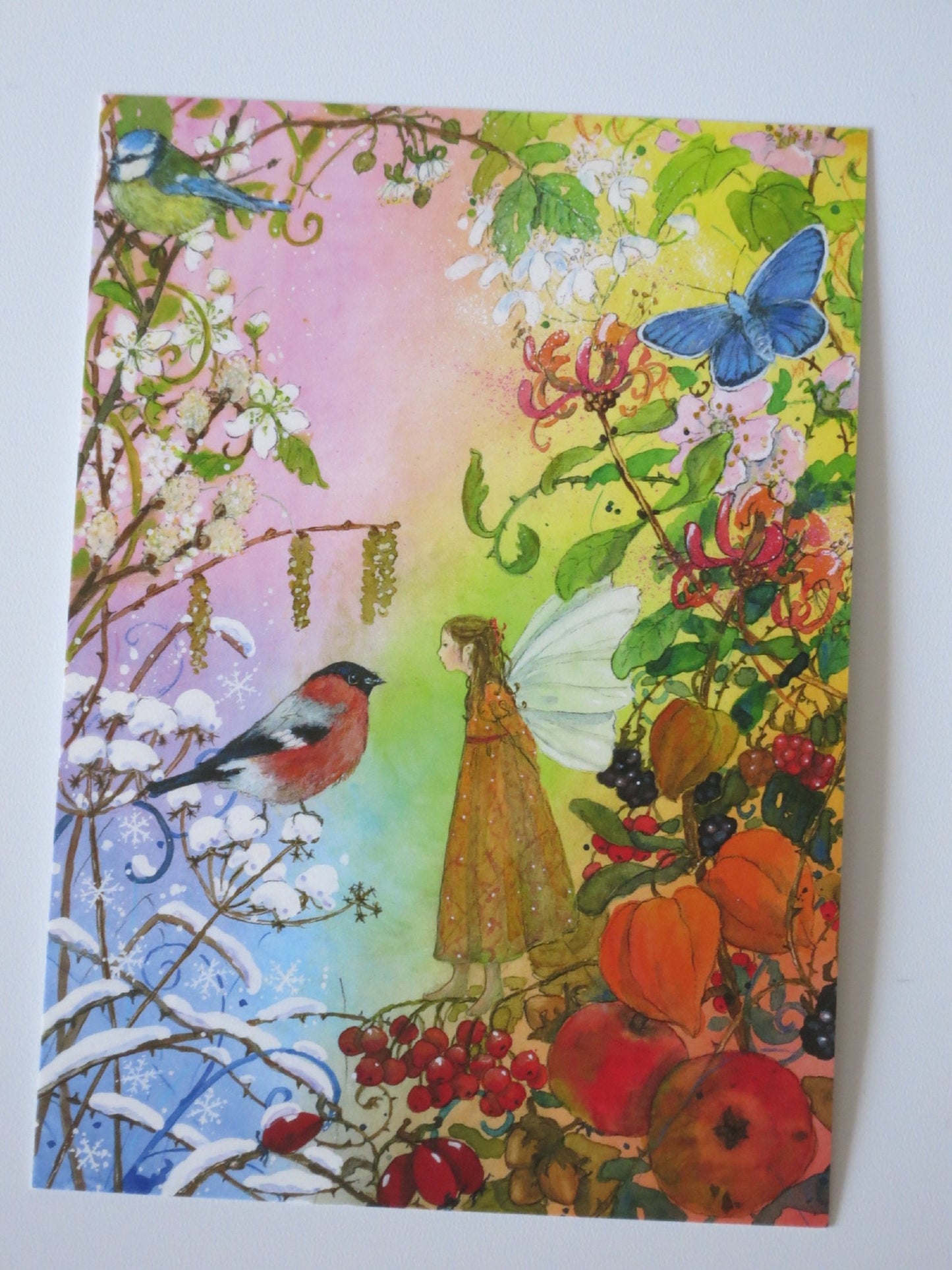 Postkarte Vier Jahreszeiten von Daniela Drescher: Elfe zwischen Winter Fruehling Sommer und Herbst