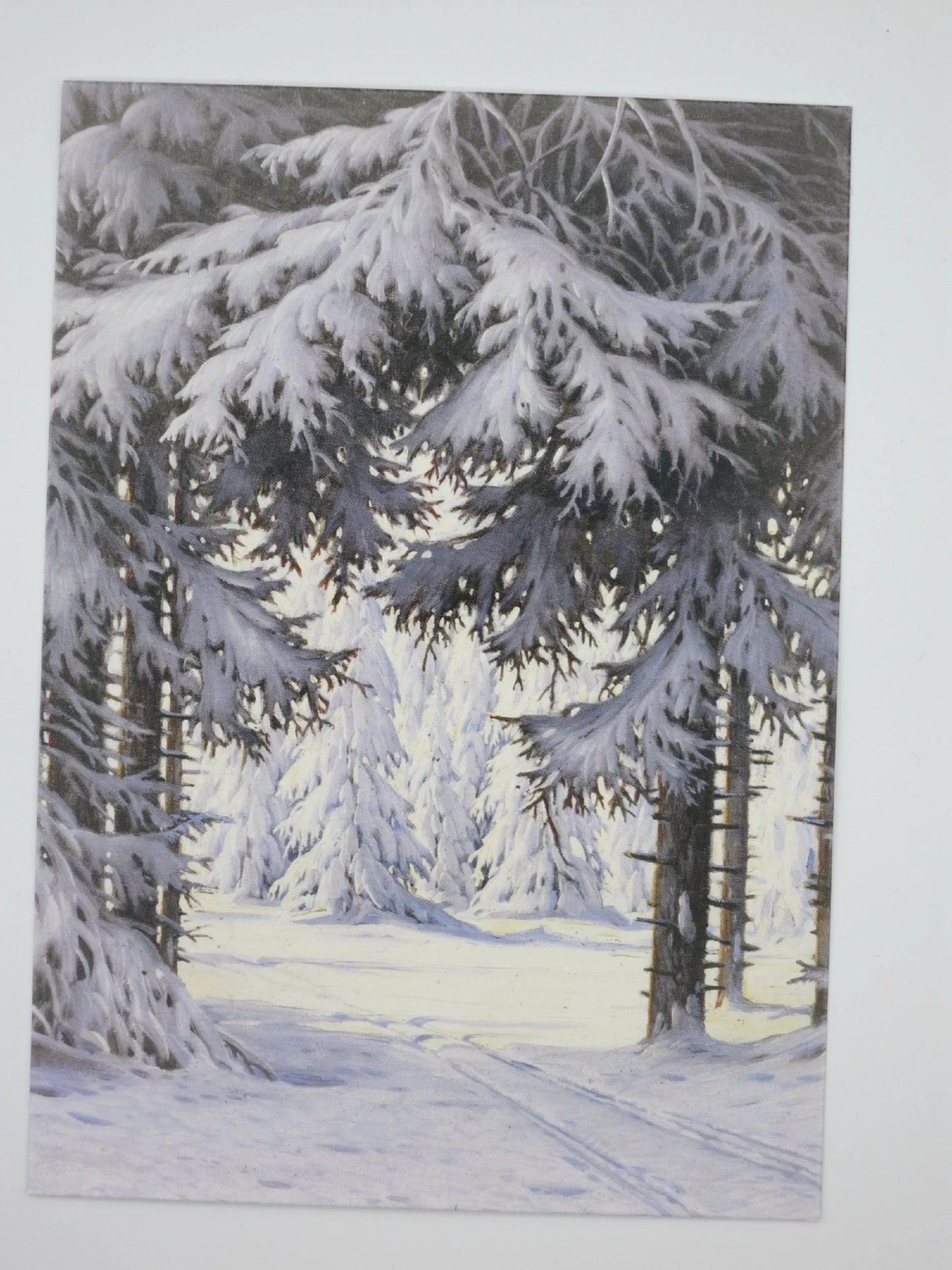 Postkarte Waldinneres von Karl Hauptmann, Blick durch schneebeladene Tannen auf helle Waldlichtung