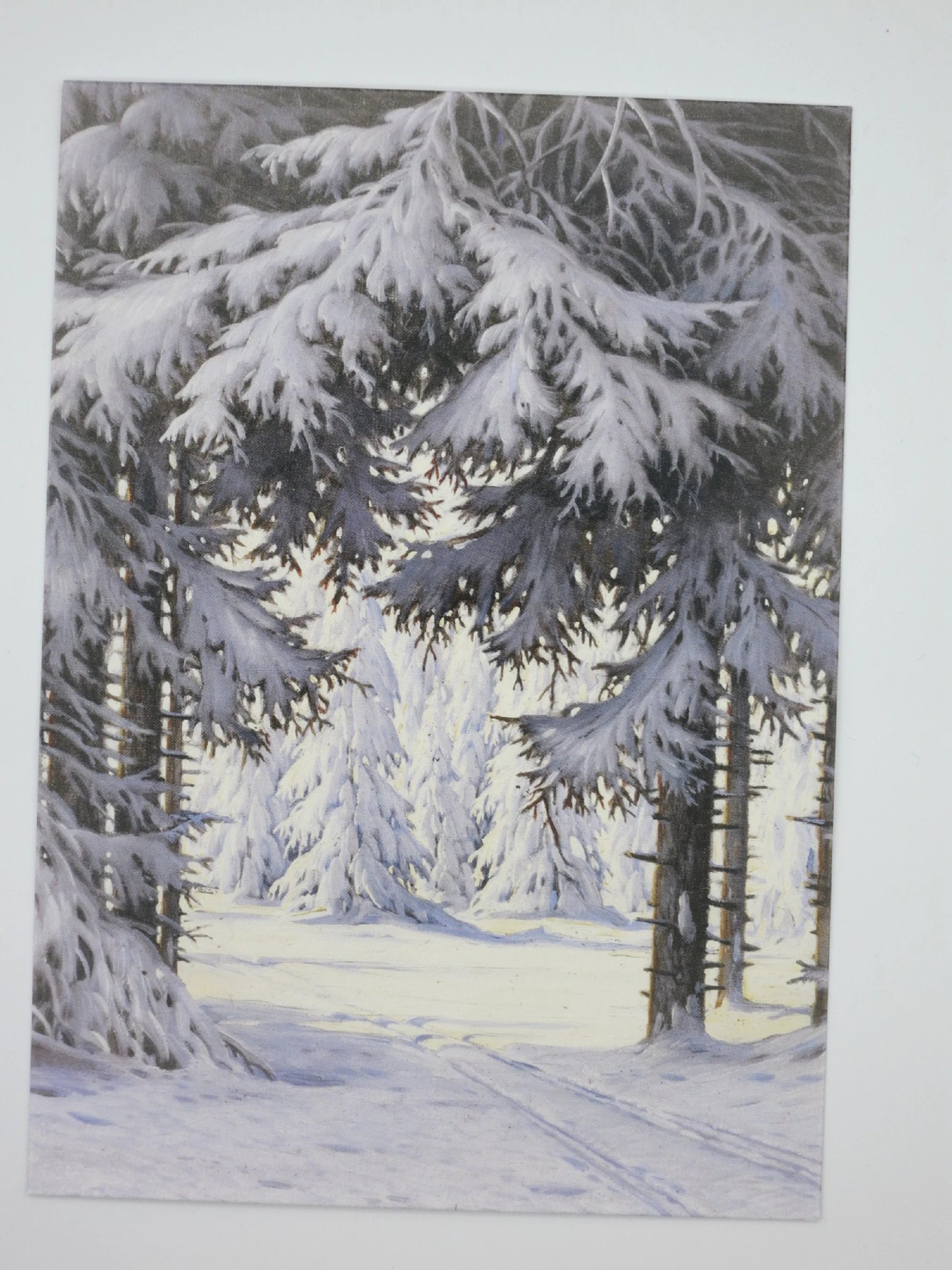 Postkarte Waldinneres von Karl Hauptmann, Blick durch schneebeladene Tannen auf helle Waldlichtung
