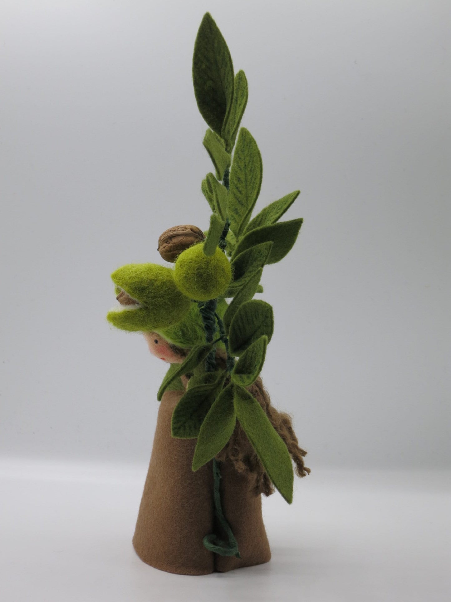 Echte Walnuss mit gruener Filz-Huelle und weisser Innenhaut in Nahaufnahme, Herbst-Blumenkind, Art. HE10