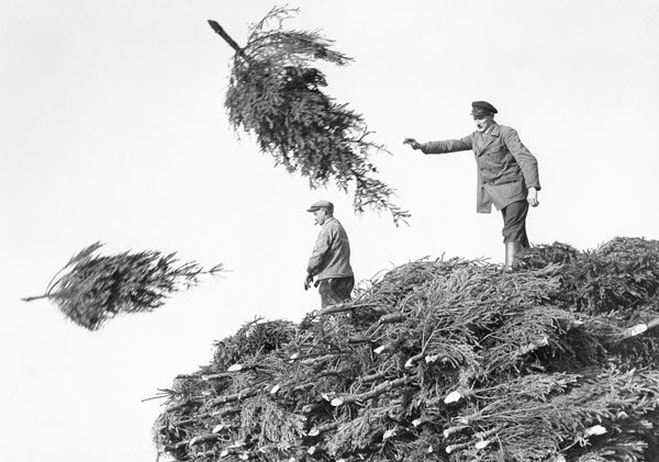 Postkarte 'O Tannenbaum': historische Schwarz-Weiß-Fotografie von Männern beim Verladen frisch geschlagener Tannenbäume.