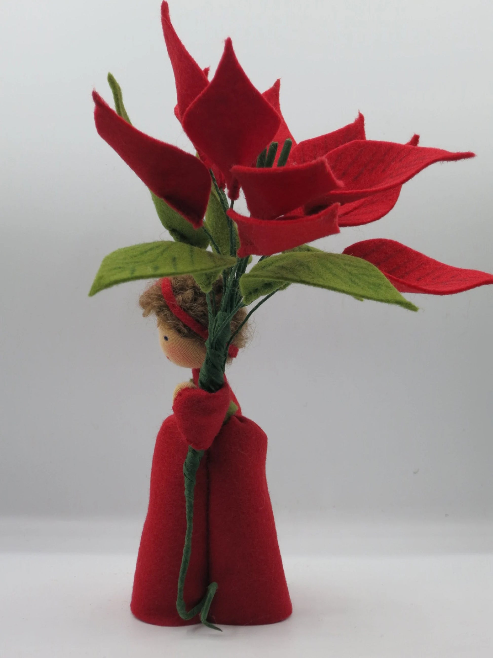 Weihnachtsstern Blumenkind, Seitenansicht mit rotem Hochblätter-Strauß – Jahreszeitentisch, Art. WI33