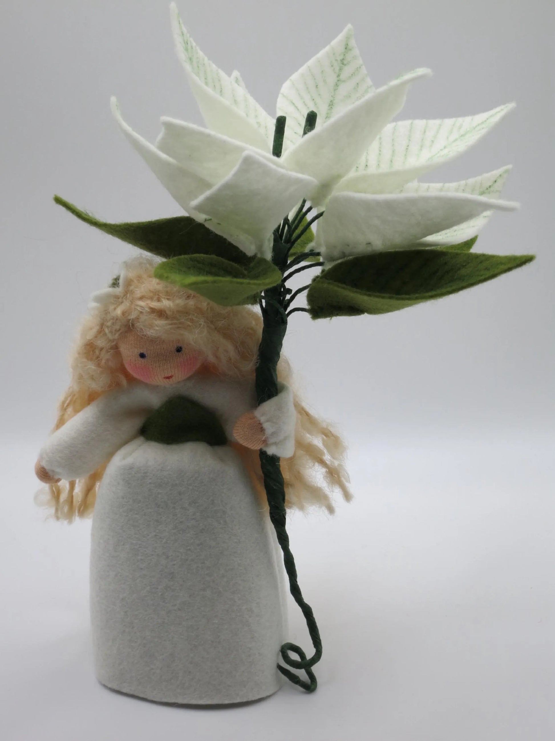 Weihnachtsstern weiß Blumenkind Frontalansicht mit vollen Hochblättern, Art. WI17