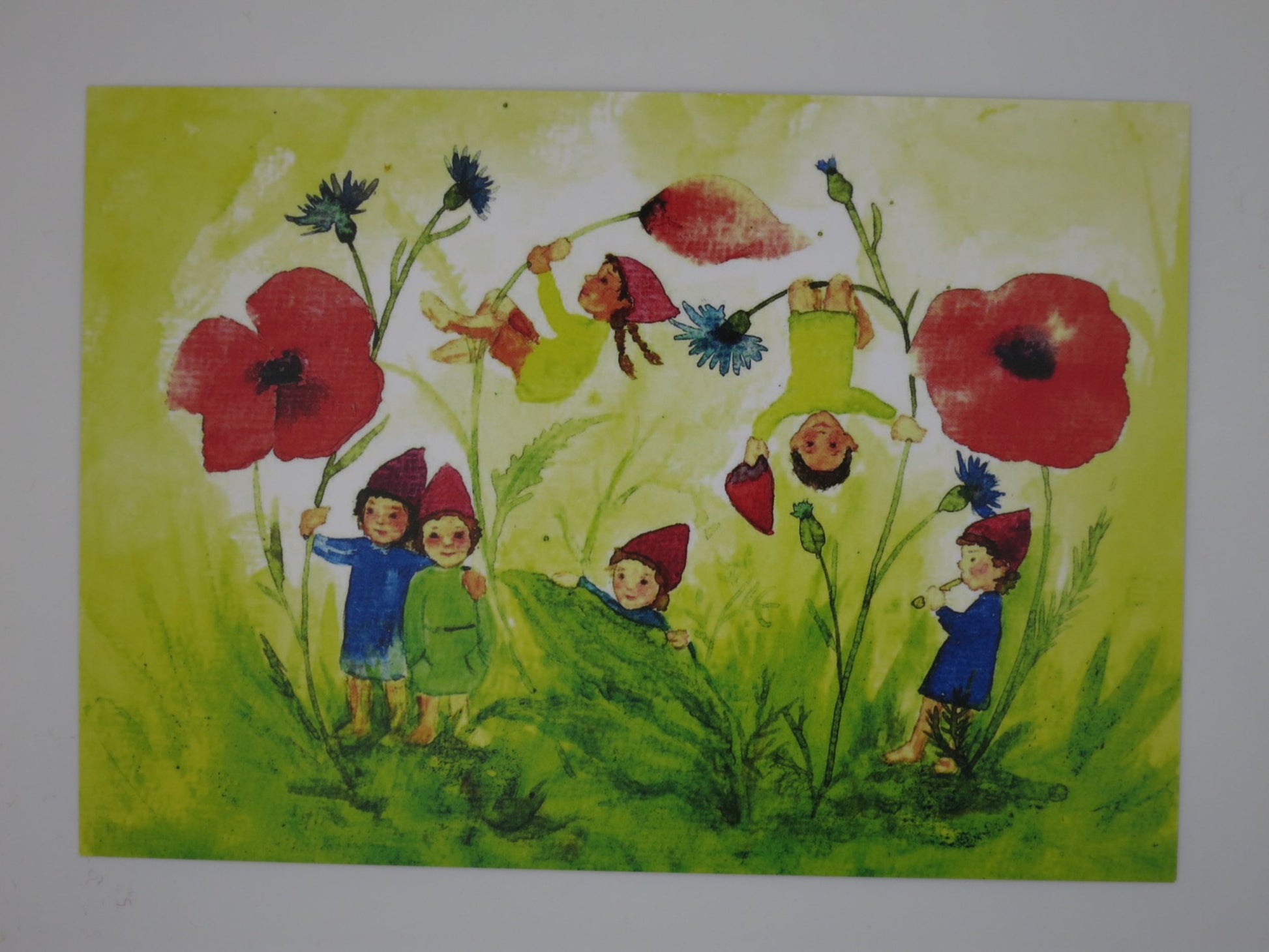 Waldorf Postkarte Wichtel auf der Blumenwiese von Anna Hunold: fünf Wichtel zwischen Klatschmohn und Kornblumen