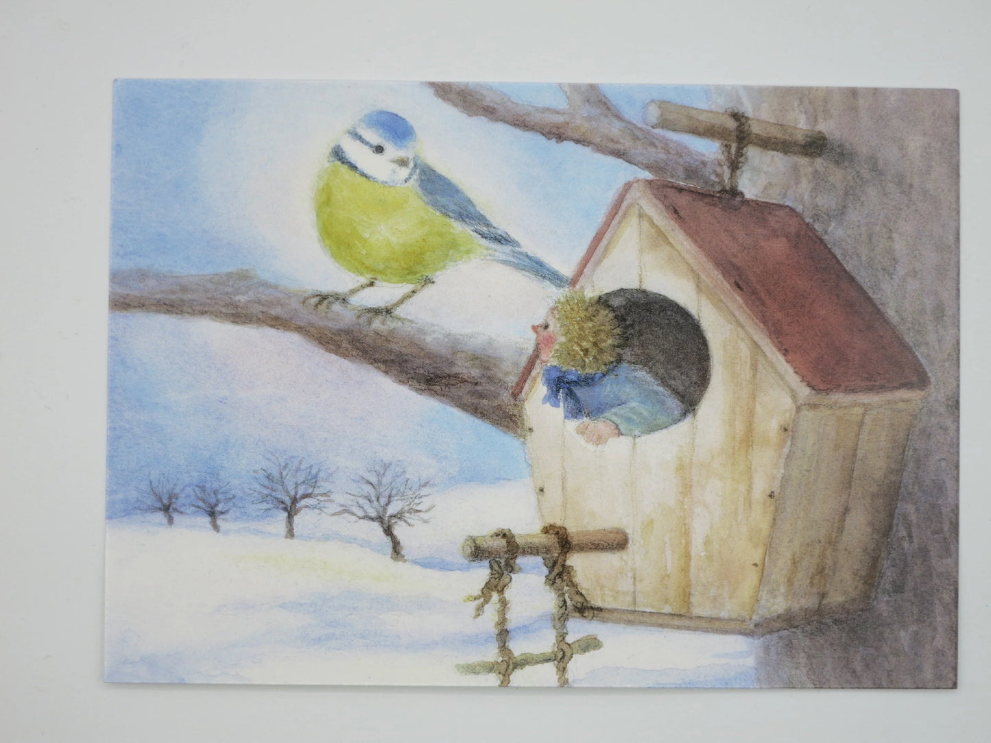 Wichtel-Postkarte „Schon besetzt“ von Monika Speck: Wichtel sitzt im Vogelhaus, Blaumeise schaut verwundert zu, humorvolle Kunst-Postkarte im Winter