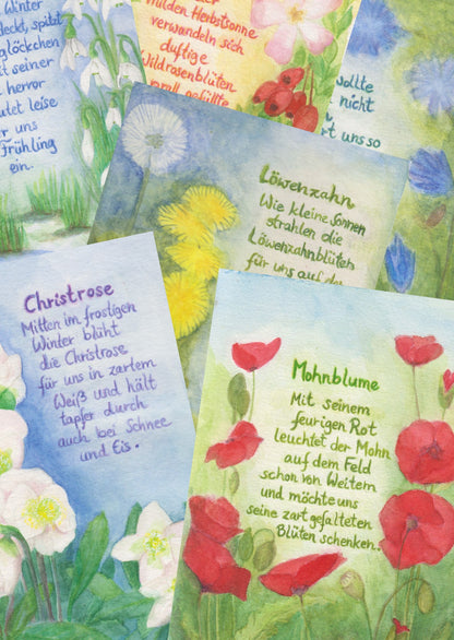 Wildblumen Postkartenset BilderSchublade - 6 Postkarten mit Gedicht