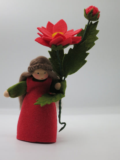 Frontalansicht der Wilden Dahlie Art. HE50 mit Blüte und Knospe, Waldorf-Jahreszeitentisch Herbst.