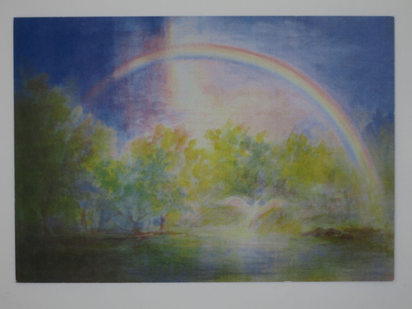 Postkarte Wings of Hope von David Newbatt: weißer Vogel fliegt unter einem Regenbogen über Sommerbäumen auf