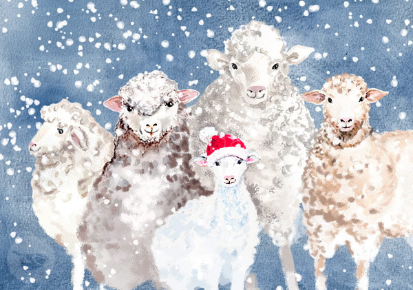 Winter bei den Schafen Weihnachtspostkarte – Schafherde mit Mützen-Lamm im Schnee, Bettina Beuttenmüller, Jahreszeitentisch