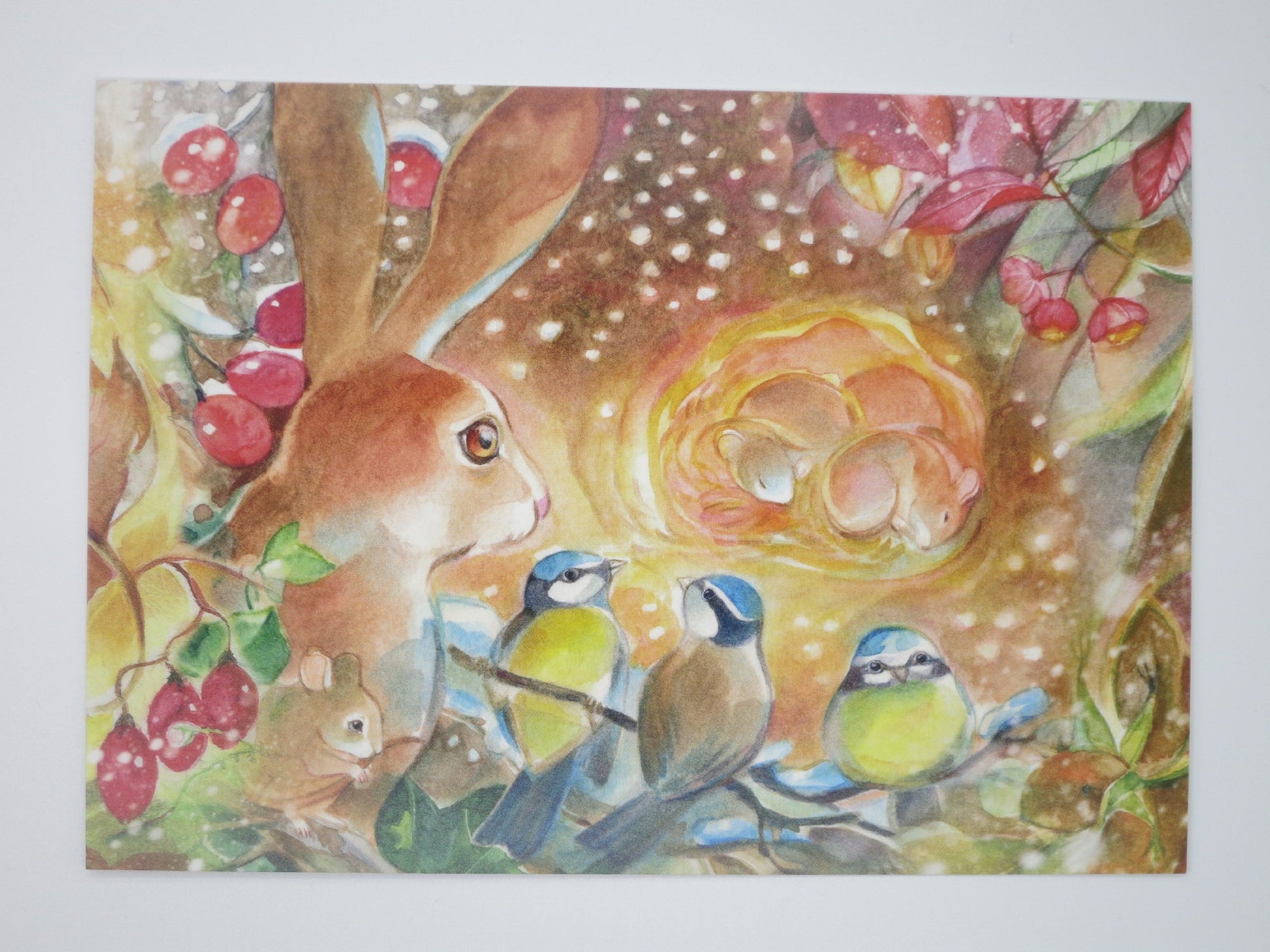 Winterwunder Postkarte mit Feldhase, Mäusefamilie und Blaumeisen, Marie Laure Viriot, Waldorf Jahreszeitentisch