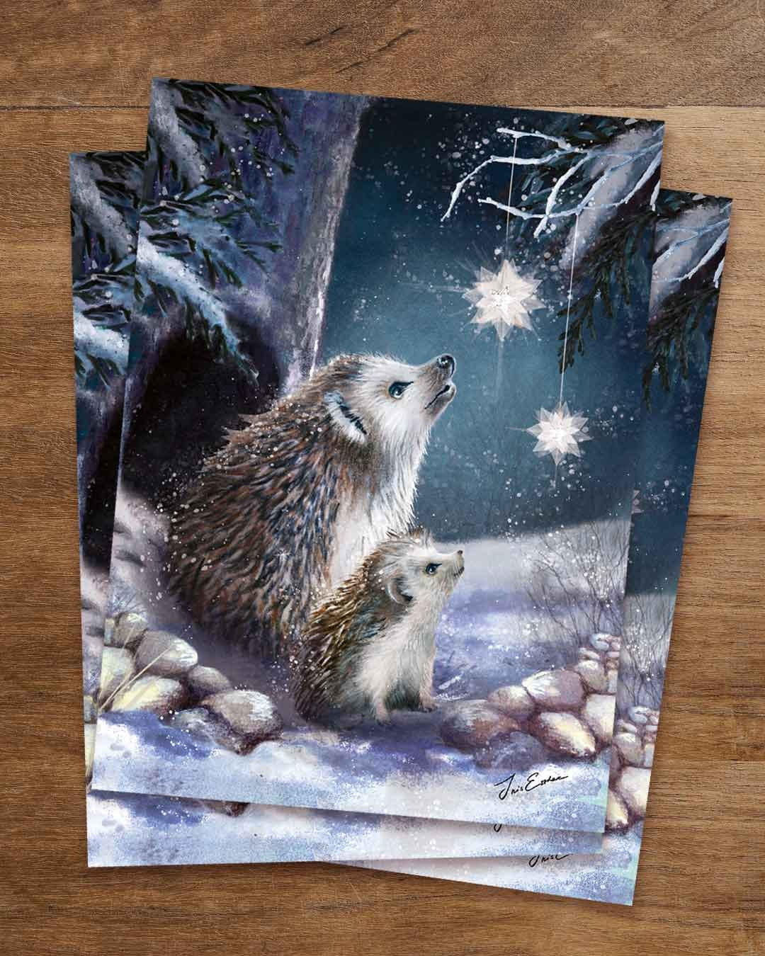 Igel Bild auf der Postkarte „Woher kommen die Sterne?“ von Iris Esther: ein großer und ein kleiner Igel sitzen im Schnee vor einer Reihe Feldsteine und schauen zu zwei weißen, gefalteten Papiersternen hinauf, die an Fäden von einem verschneiten Tannenzweig hängen