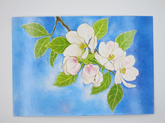 Blütenzweig - Postkarte - Waldorf  Art.NR.PKFR68